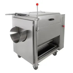 Щёточная мойка для овощей FA-100 Foodatlas